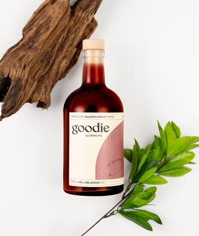 Goodie - fermenteeritud mustsõstra jook