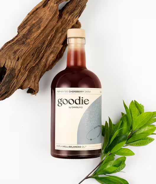 Goodie - fermenteeritud aroniasmuuti